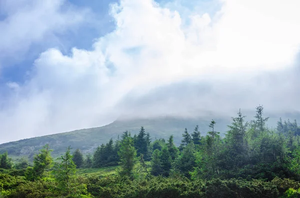 Seyahat, trekking. Yaz manzara - dağlar, yeşil otlar, ağaçlar ve mavi gökyüzü. Yatay Çerçeve