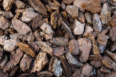 doku ahşap kabuk parçaları