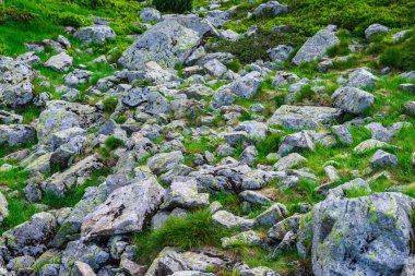 gorge yeşil dağ içinde taşlar