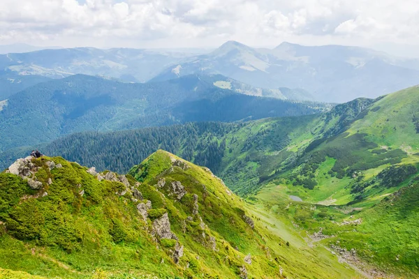 Зеленые горы Украины, Карпаты — стоковое фото