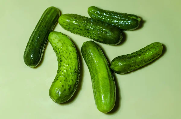 Six green cucumbers on a light background — Stock Photo, Image