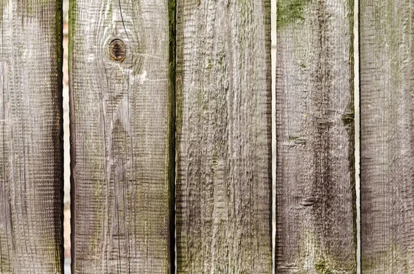 Textura de tablones de madera viejos sobre todo el marco — Foto de Stock