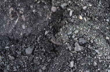 Her çerçeve için siyah kömür