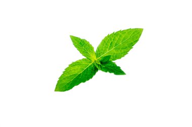 Beyaz arkaplanda izole edilmiş nane yaprakları