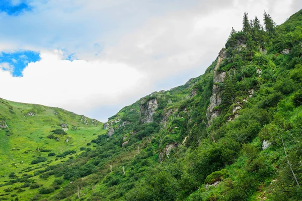 Montanhas verdes da Ucrânia, Cárpatos — Fotografia de Stock