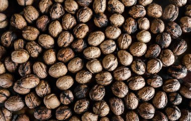 Bütün doku ceviz bir sürü çerçeve