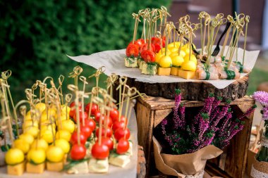 Tüm çerçeve için birçok farklı sebze kanepesi.