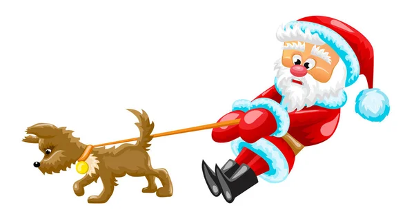 Santa ile köpek