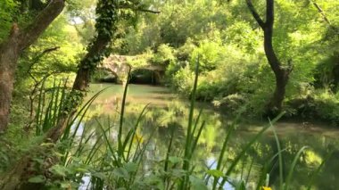 Güzel bir nehir, bir sürü yeşillik ve ağaçlar, suda güzel bir yansıma. Kara Nehir, Kırım, Sivastopol
