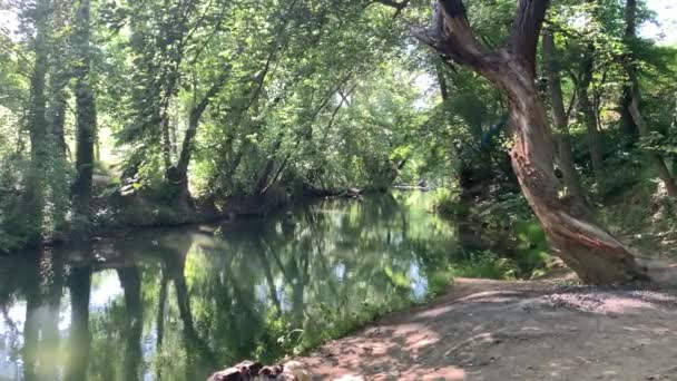 Beautiful River Lot Greenery Trees Beautiful Reflection Water Black River — Stock Video