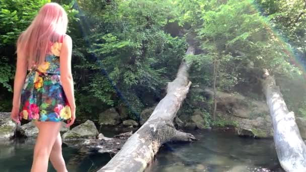 Belle Femme Aux Cheveux Longs Roses Dans Une Forêt Traverse — Video