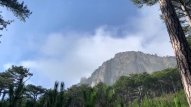 Beautiful panoramic view of Mount Ai-Petri. Mountains, clouds, sea, trees.