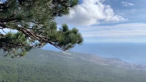 Hermosa Vista Panorámica Del Monte Petri Montañas Nubes Mar Árboles — Vídeos de Stock