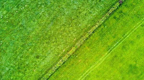 Drone flight in the summer above the are of Aachen with its fiel — Stock Photo, Image