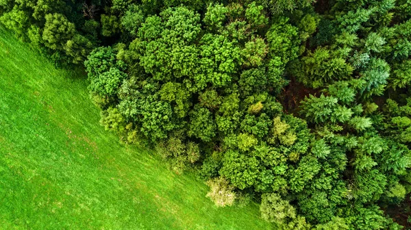 Vuelo drone en el verano por encima de la son de Aquisgrán con su fiel —  Fotos de Stock