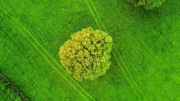 Vuelo drone en el verano por encima de la son de Aquisgrán con su fiel — Foto de Stock