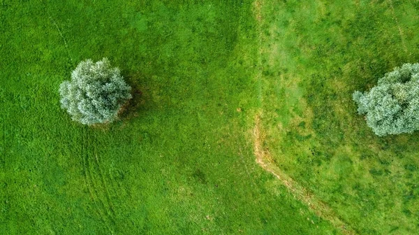 Vuelo drone en el verano por encima de la son de Aquisgrán con su fiel — Foto de Stock