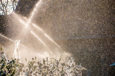 Meyve ağaçları kapsayan koruyucu buz tabakası