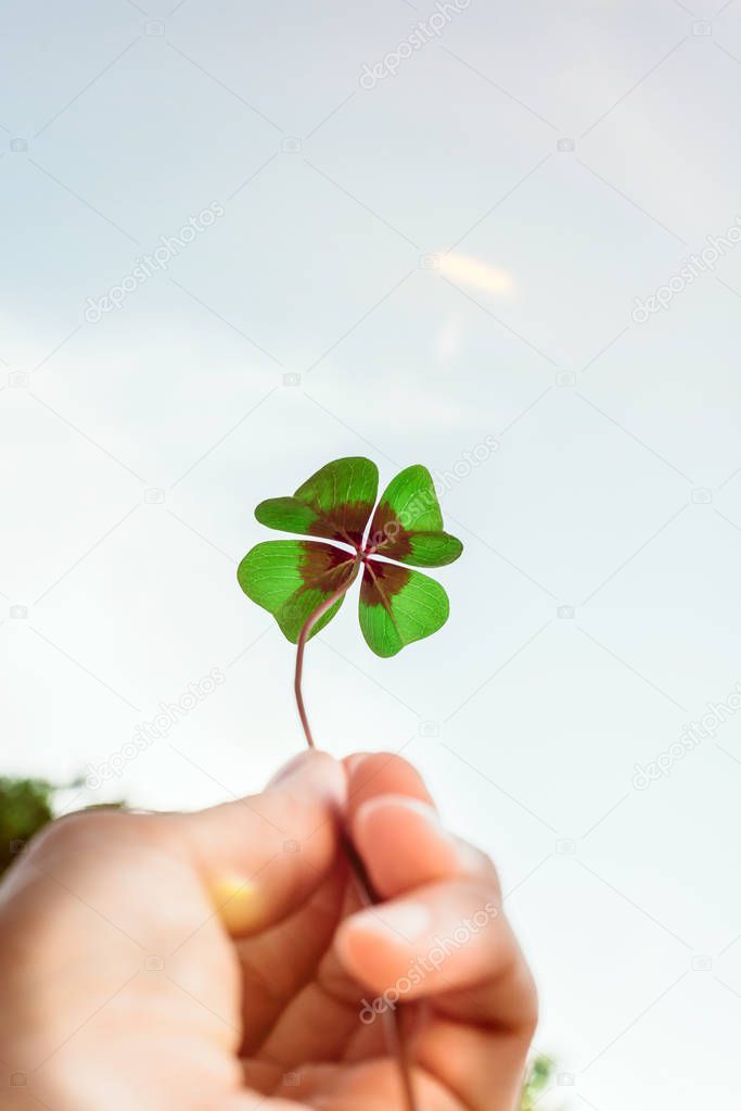 Four leaf lucky clover held by hand against sky