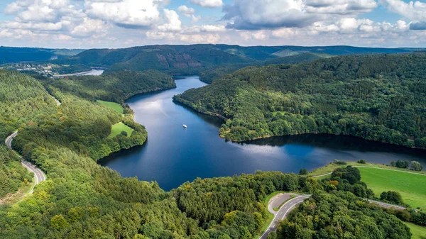 Fågelperspektiv över sjön och skogen som vidtagits av drönare — Stockfoto