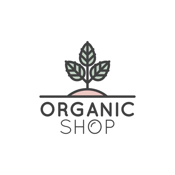 Logo for Organic Shop or Market — Stock Vector