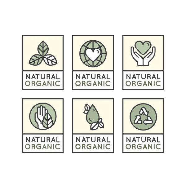 Insignias de productos ecológicos frescos, ecológicos — Archivo Imágenes Vectoriales