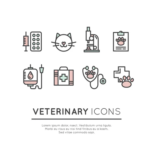 Conjunto de Tienda o Centro de Clínica Veterinaria para Mascotas — Vector de stock