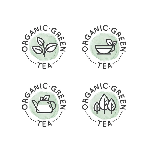 Набор эмблем для производства или магазина органического зеленого чая — стоковый вектор