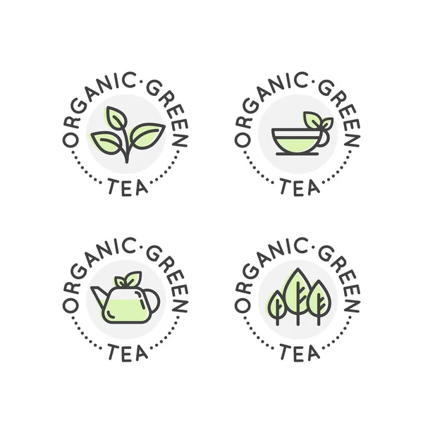 Producción de té verde orgánico o tienda de estilo de vida saludable — Archivo Imágenes Vectoriales