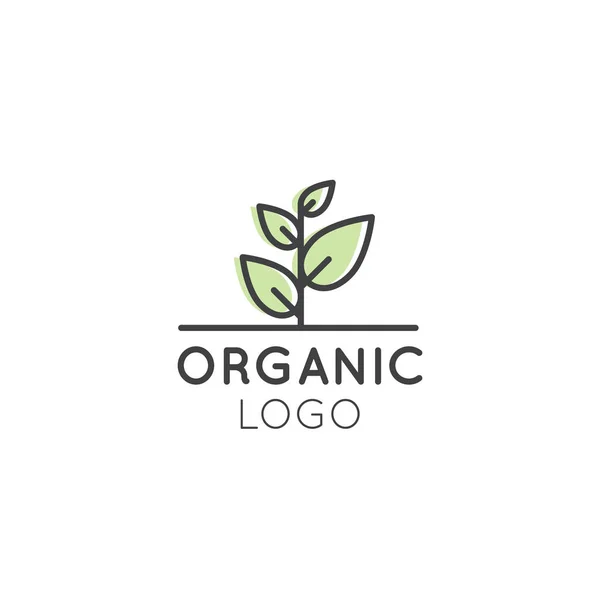 Λογότυπο για τα βιολογικά για Χορτοφάγους Υγιεινή κατάστημα ή κατάστημα — Διανυσματικό Αρχείο