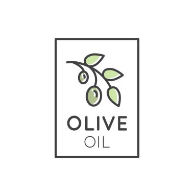 İle Ekstra Virjin Zeytin yağı bitki yaprakları ve meyveleri