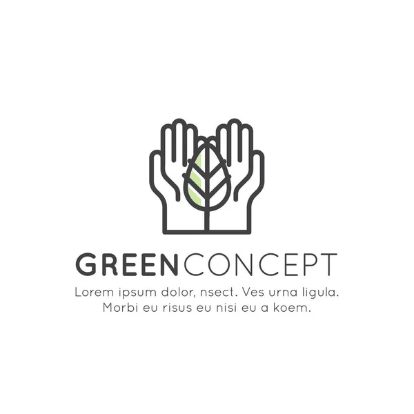 Logo Set Badge Recycling ecologisch Concept, Plant een boom, energie besparen — Stockvector