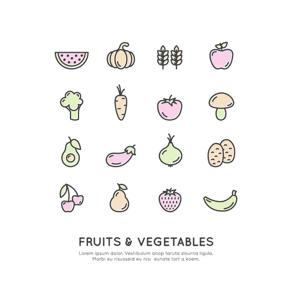 Logotipo para la tienda o tienda orgánica vegana saludable. Símbolos vegetales naturales verdes — Vector de stock