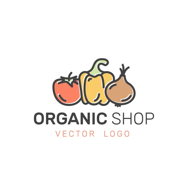 Boutique ou magasin sain végétalien biologique. Symboles verts naturels de légumes et de fruits — Image vectorielle