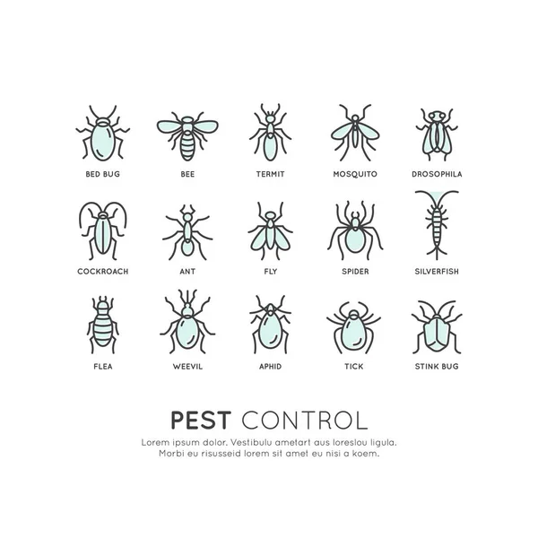 Control de plagas, higiene alimentaria — Vector de stock