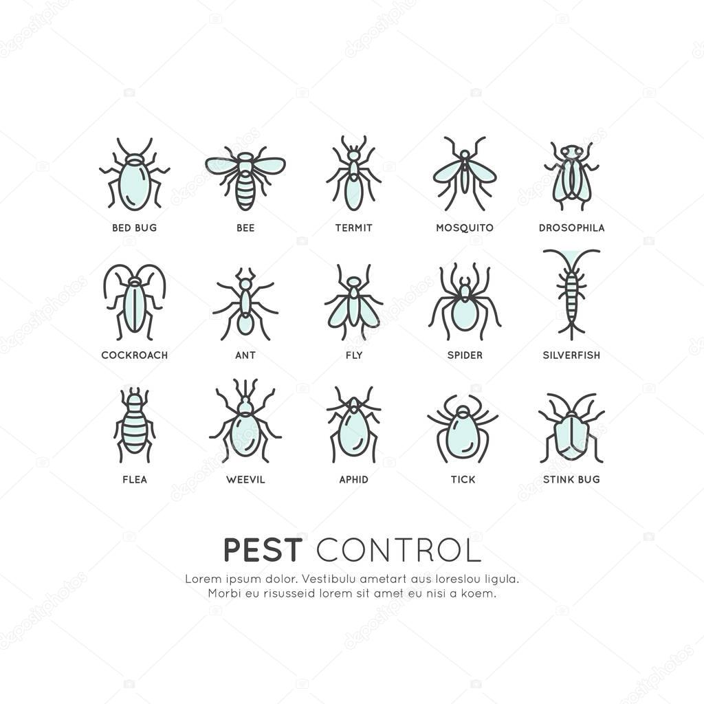 Pest Control, Food Hygiene