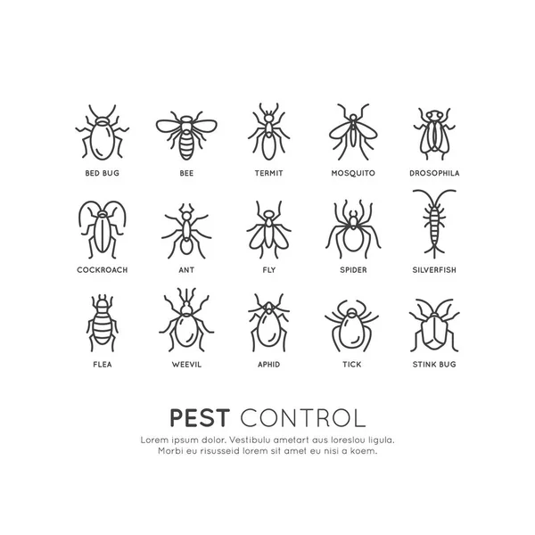 Control, Higiene Alimentaria, Legislación y Autoridad Local, Protección contra Virus de Infección de Peligro — Vector de stock