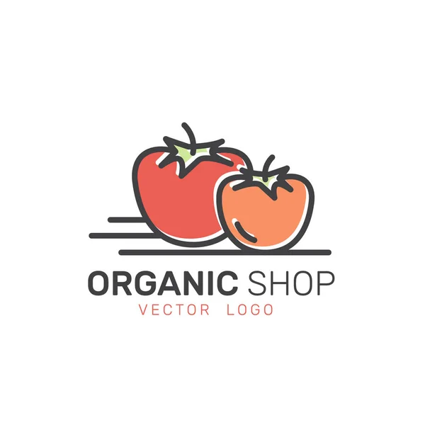 Organic Vegan Loja ou Loja Saudável. Símbolos Vegetais e Frutas Naturais Verdes, Campo de Mercado de Agricultores — Vetor de Stock