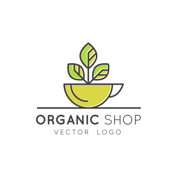 Organic Vegan Loja ou Loja Saudável. Símbolos Vegetais e Frutas Naturais Verdes, Campo de Mercado de Agricultores — Vetor de Stock