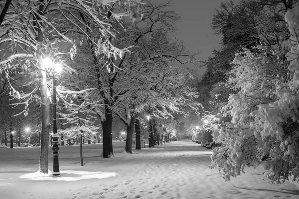 Winter city park in evening. — Stock Photo, Image