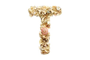 Tasarımınızda kullanılmak üzere renkli kalem talaşından T harfi.