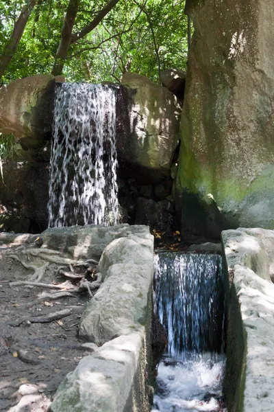 Cadute in parco nel Crimea — Foto Stock