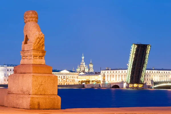 Dragna ritade Troitsky Bridge i St. Petersburg — Stockfoto