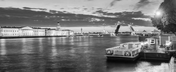 The raised Palace bridge at white nights , black-and-white image — Stock Photo, Image