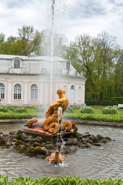 St. Petersburg, RUSSIA-GIUGNO 03, 2017. La fontana nel parco di Petrodvorets — Foto Stock