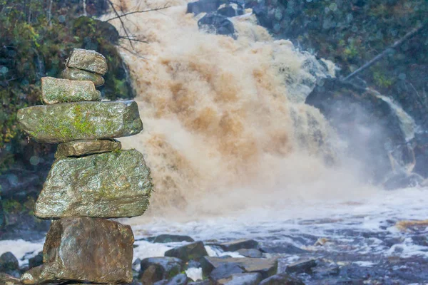 Faller i en sommarträdgård, i Karelska — Stockfoto