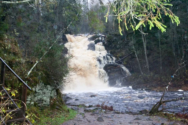 Egy nyári kert, a Karelia esik — Stock Fotó