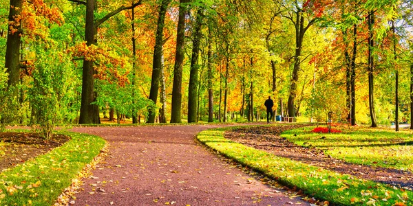 Piękna panorama jesiennego parku i ścieżek w pogodny dzień — Zdjęcie stockowe