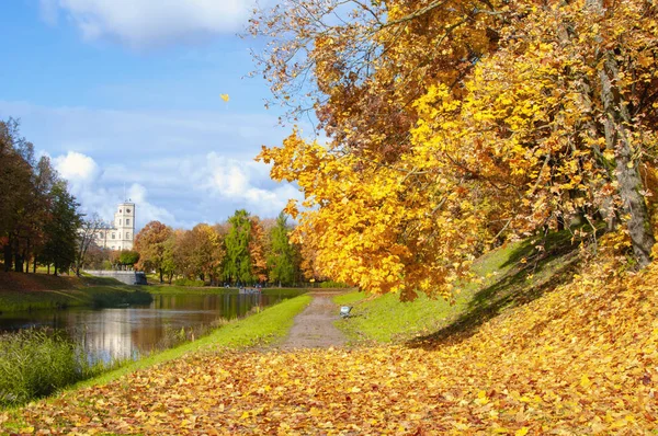 Panorama of beautiful autumn park with pond on clear day — Stock Photo, Image