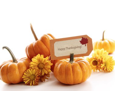 Yer kartı ile mini kabaklar closeup